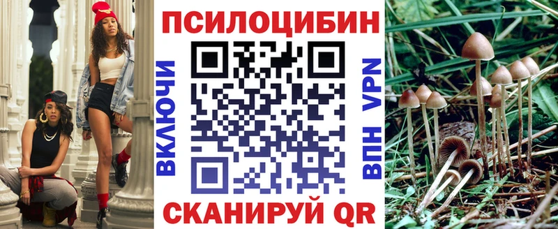 Купить  Назрань  Галлюциногенные грибы Magic Shrooms 
