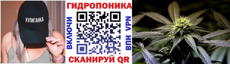 Канабис SATIVA & INDICA  Купить  Назрань 